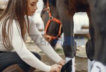 Reitsport Manski – Dein Zuhause für Pferd und Reiter Reitsport Manski – Dein Zuhause für Pferd und Reiter